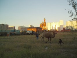 Тоже Нижневартовск. Много лет назад.... Факел на где-то на Белозерке.
