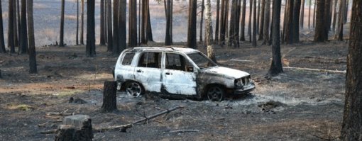 Комары на рыбалке