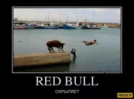 Свежая подборка демотиваторов, которые поднимут вам настроение