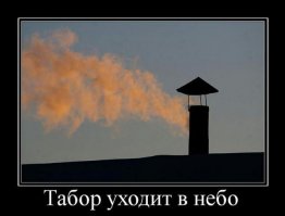 Чудеса крупнейшей в Британии цыганской ярмарки