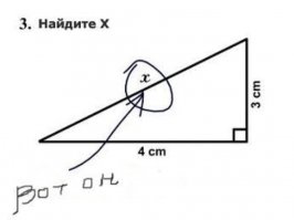 Нарочно не придумаешь. Студенты отжигают