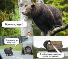 Из вчерашней солянки :)