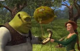 Ветеринары Шотландии спасают раздувшегося, как шар ежа