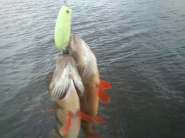 Малас забыл.