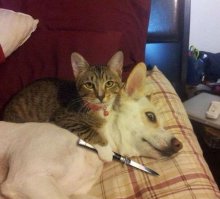 Тут вот так должно быть