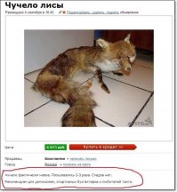 Женщина написала смешное объявление, чтобы избавиться от петуха