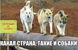 Поражает не сама наглость, а возможности, которые она открывает