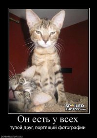 Смешной хомяк вылетел из колеса