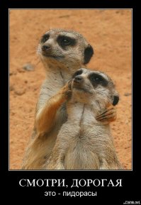 Вот что получается, когда невеста не приходит на предсвадебную фотосессию