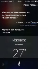 мать мать мать ... привычно отозвалось эхо