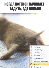 Очередная порция картинок с подписями