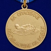 Спасатель получит Медаль "За Спасение ..." и Амнистию т.к. он Медалист !