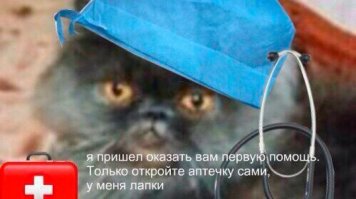 Ещё немного картинки с подписью