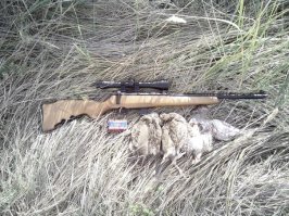 Люблю свой арсенальчик особенно  Соболь, да мелкашка, но как кайфово со 100 метров взять куропаточку,без лишнего грохота, а одним аккуратным выстрелом.