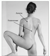 Любопытные факты о женском теле