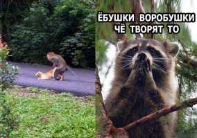 Прикольные комментарии и высказывания из социальных сетей