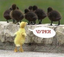 вообще то тувинцев было 60, а в гарнизоне больше 100)))  так что закрой пасть