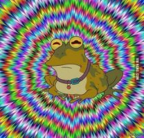 Модные неудачи и провалы