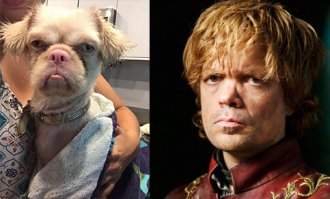 Фотоподборка за 04.08.2017