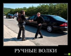 Подборка автомобильных приколов