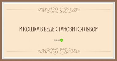 Что за зверь "икошка"? Надо было пробелы больше делать.