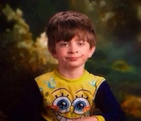 В Канаде чайка прервала прогноз погоды