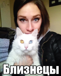 мне это фото нравится. ))