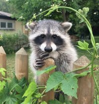 Мне тоже так показалось. Но все равно спасибо за работу - хороший пост.
А что если в качестве бредового эксперимента попробовать разбавить "ретро" "модерном"? У Вас бы неплохо, думаю, получилось, а?