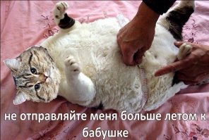 может он от бабушки сбежал, у которой телевизора нет?