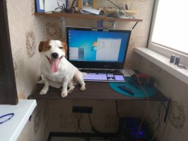 Дайка я тебя укушу