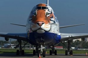 Необычно разукрашенные самолёты , на которых замирает взгляд