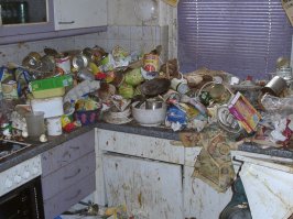 В логове настоящих свиней