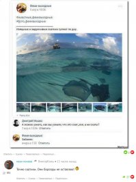 Смешные комментарии из социальных сетей
