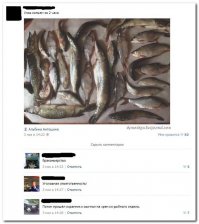 Смешные комментарии и высказывания из социальных сетей