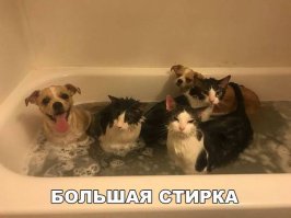 Очередная порция картинок с подписями