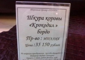 Приколы из жизни