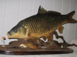 Наверно будут мумифицировать !?