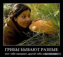 Статья интересная