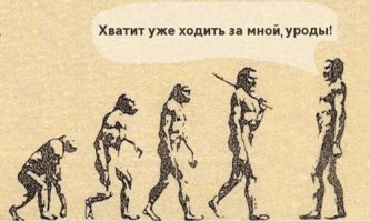 От обезьяны к человеку: десять шагов