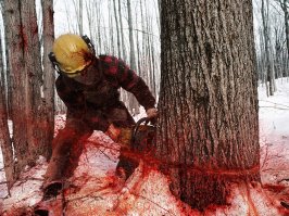 Без комментариев!