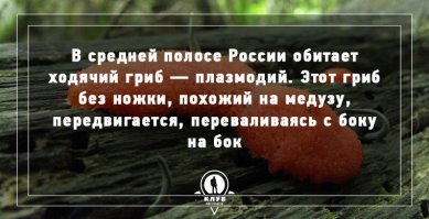 ещё несколько фактов