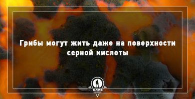 ещё несколько фактов