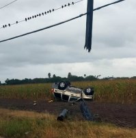 Птичек считал. :)