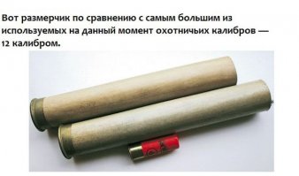 Чтоб мои глаза лопнули!
Пристрелите меня,
Пожалуйста...
Патроны я сам куплю.
Которые побольше.
