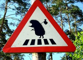 Необычные дорожные знаки, которые призывают к действию, но непонятно к какому