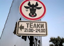 Необычные дорожные знаки, которые призывают к действию, но непонятно к какому