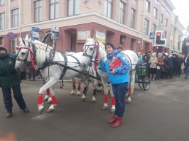На одном из проектов на протяжении полугода приводилось работать с лошадьми. На фото - знаменитая тройка из заставки новостей одного из федеральных каналов. Самые покладистые лошадки были в Москве и Пензе, самые игривые в Уфе, а в Калмыкии были такиииие пушистые коняшки. Ещё там мы устроили съемку с табуном диких лошадей - это оооочень красиво!  Увы, многие другие конюшни были на грани разрухи, кормить нечем, постройки едва держатся