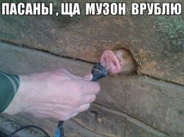 Свинокиллеры