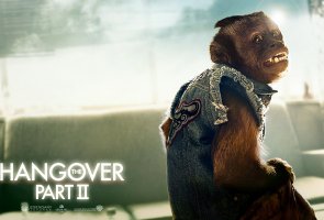 обезьян почти как в мальчишнике