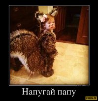 Пост о чёрном юморе, спонсором которого стала сама смерть